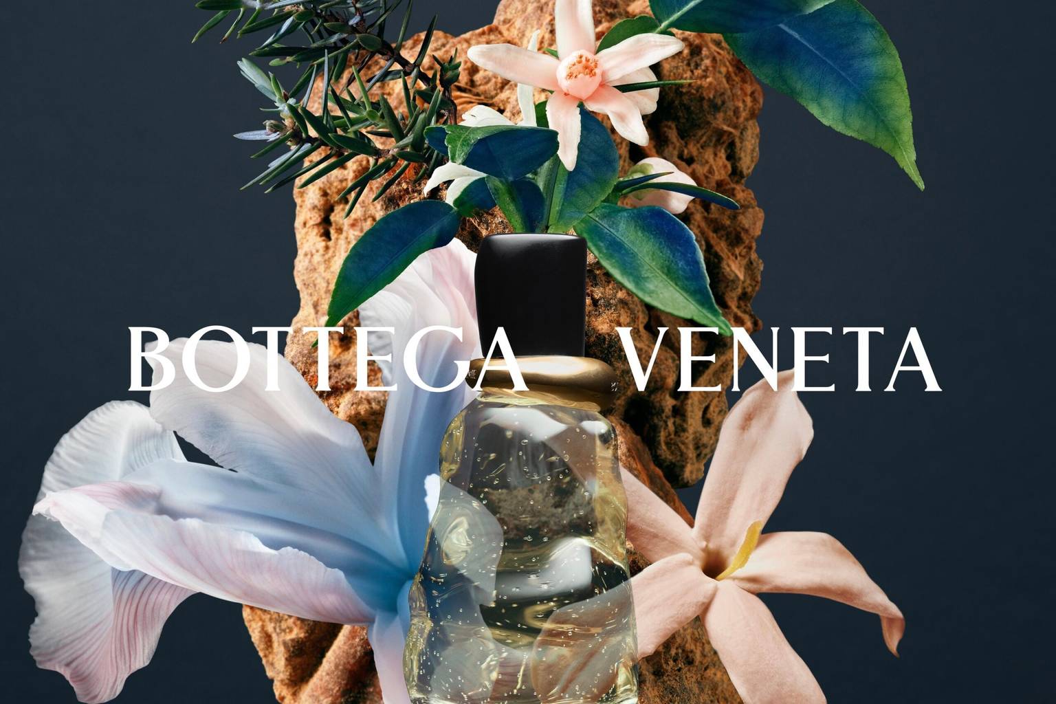 Image: Bottega Veneta
